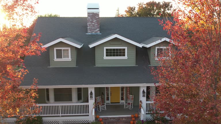Best Gutter Replacement  in Clearfield, UT
